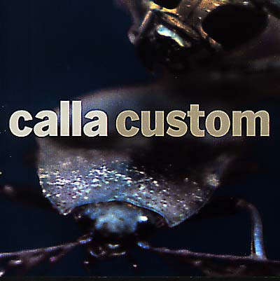 Custom (The Remix Project) [CD] (ONLINE ORDER ONLY)