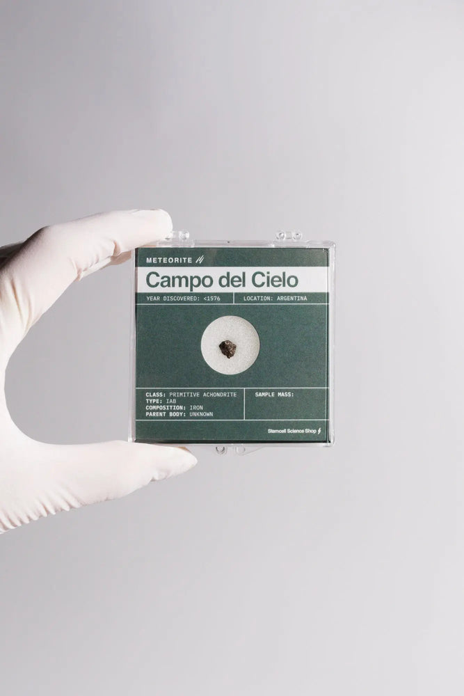 Campo del Cielo Meteorite (Online Order Only)