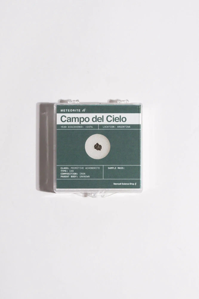 Campo del Cielo Meteorite (Online Order Only)