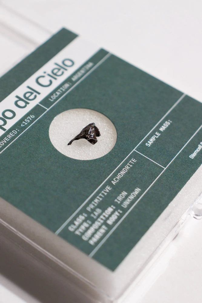 Campo del Cielo Meteorite (Online Order Only)