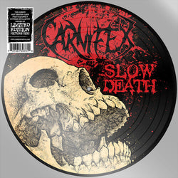 Slow Death (Indie Exclusive, Picture Disc Vinyl) [Vinyl]