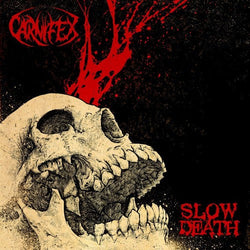 Slow Death (Indie Exclusive, Picture Disc Vinyl) [Vinyl]