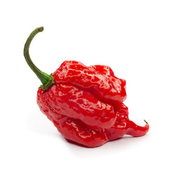 Carolina Reaper Seeds (Online Order Only)