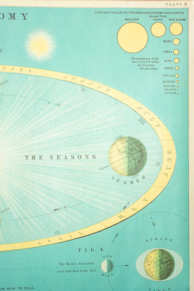 Celestial Chart (ONLINE ORDER ONLY)