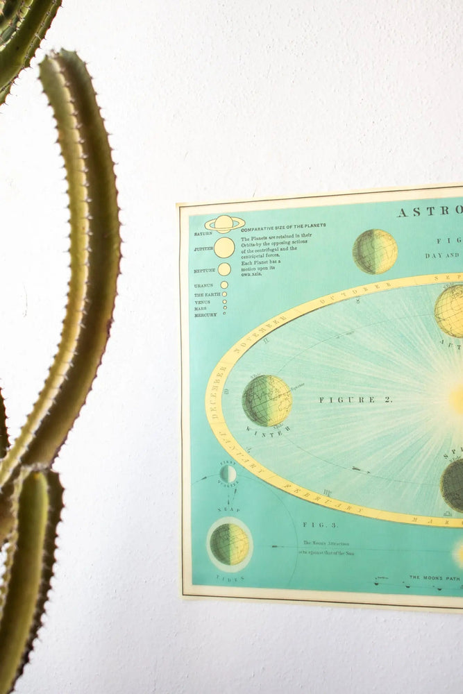 Celestial Chart (ONLINE ORDER ONLY)