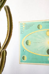 Celestial Chart (ONLINE ORDER ONLY)