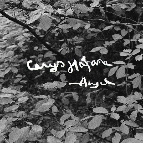 Angel [Lp] [Vinyl]