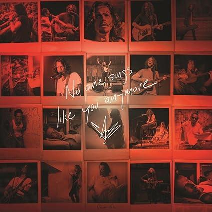 Chris Cornell - No One Sings Like You Anymore (Picture Disc Vinyl, Limited Edition) [Vinyl] (ONLINE ORDER ONLY)