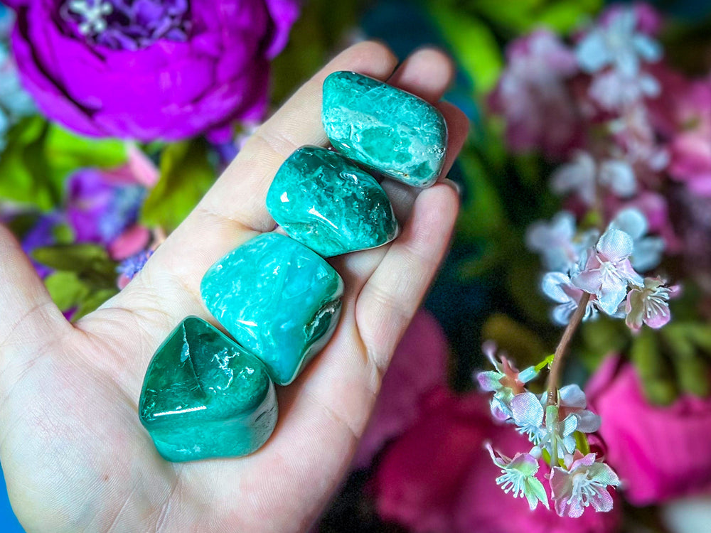 Polished Chrome Chalcedony, Mtorolite (ONLINE ORDER ONLY)