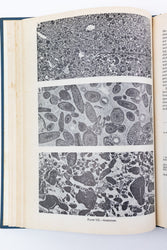 Classification of Carbonate Rocks; a Symposium (ONLINE ORDER ONLY)