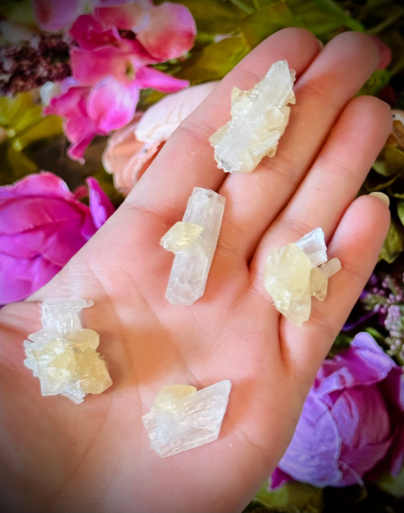 Celestite with Calcite, Clay Center, USA Minerals