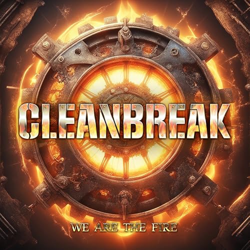 We Are The Fire [CD] (ONLINE ORDER ONLY)