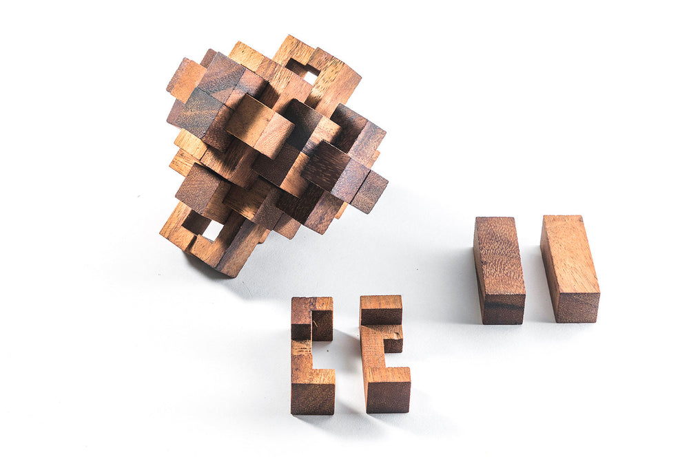 Construct Puzzle - Interlocking 24 piece Burr Puzzle (Online Order Only)