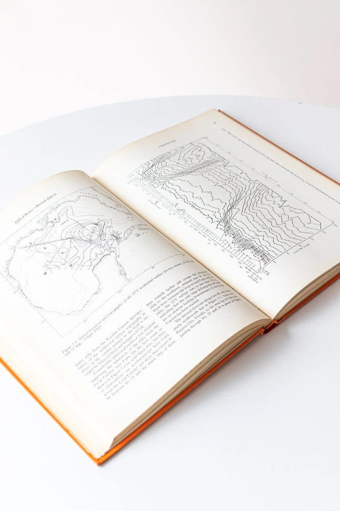 Contributions on the Physical Oceanography of the Gulf of Mexico Vol.2 (ONLINE ORDER ONLY)