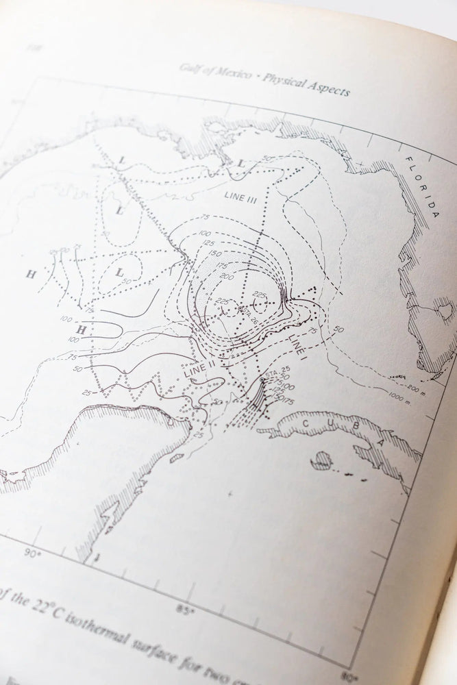 Contributions on the Physical Oceanography of the Gulf of Mexico Vol.2 (ONLINE ORDER ONLY)