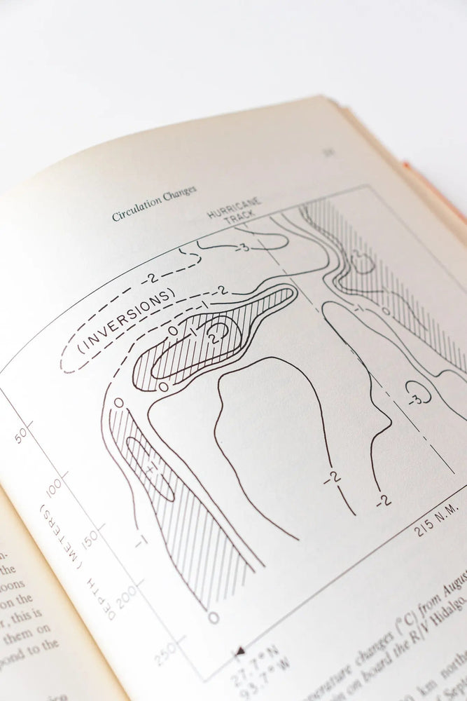 Contributions on the Physical Oceanography of the Gulf of Mexico Vol.2 (ONLINE ORDER ONLY)