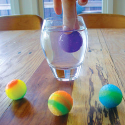 Bouncing Ball Lab (ONLINE ORDER ONLY)