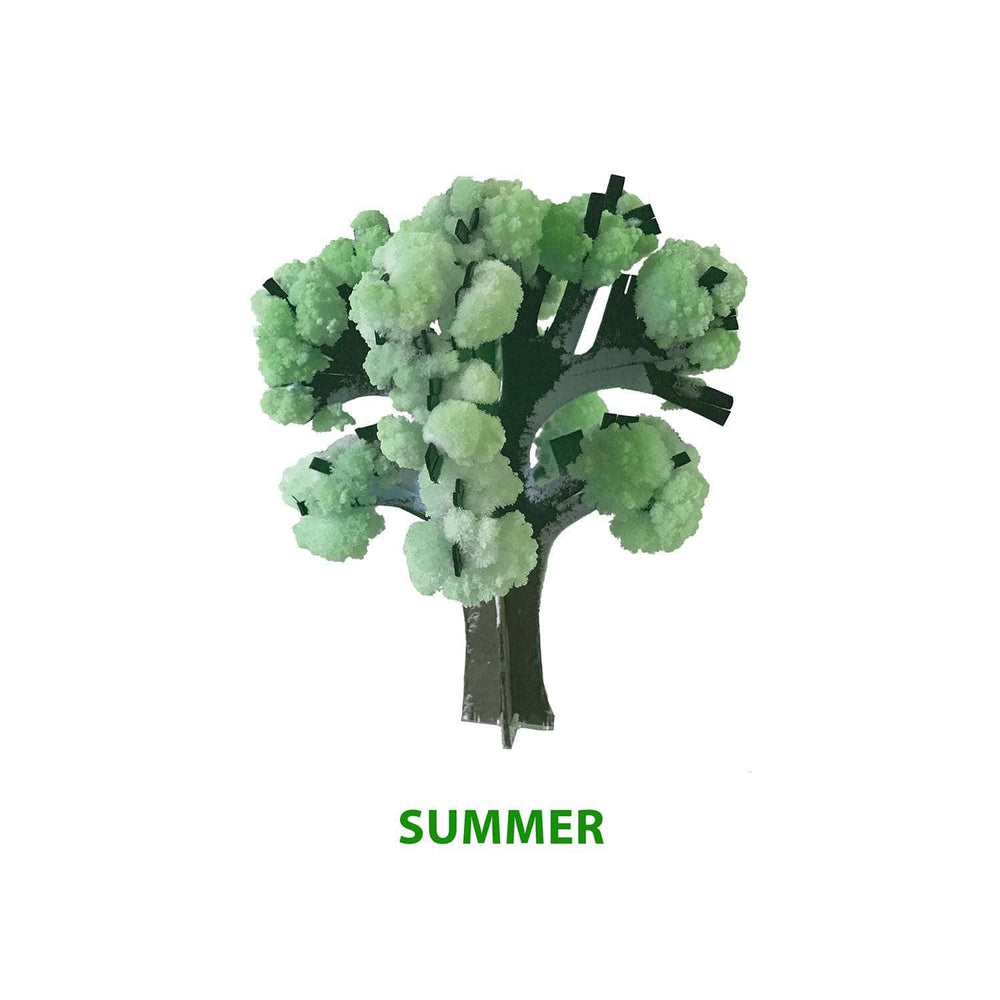 Crystal Growing Seasons kit (ONLINE ORDER ONLY)