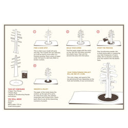Crystal Growing: Aspen (ONLINE ORDER ONLY)
