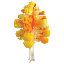 Crystal Growing: Aspen (ONLINE ORDER ONLY)
