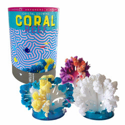 Crystal Growing Coral Reef (ONLINE ORDER ONLY)