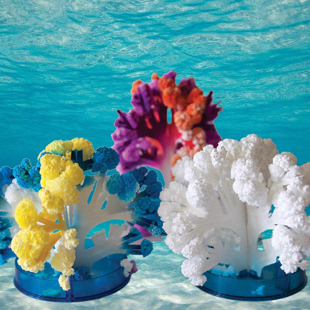 Crystal Growing Coral Reef (ONLINE ORDER ONLY)