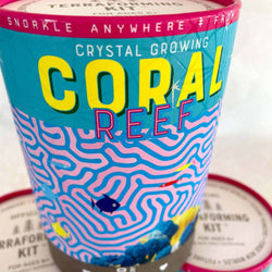 Crystal Growing Coral Reef (ONLINE ORDER ONLY)