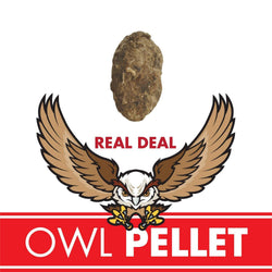 Owl Pellet (ONLINE ORDER ONLY)