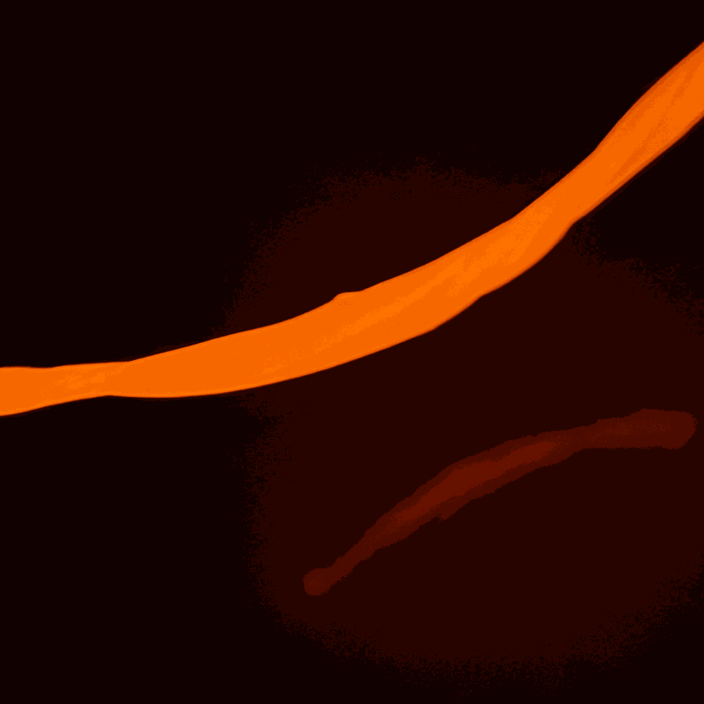 Gootonium: Glowing Orange solar putty - 20g (ONLINE ORDER ONLY)