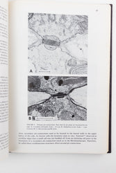 Coralline Algae, A First Synthesis (ONLINE ORDER ONLY)