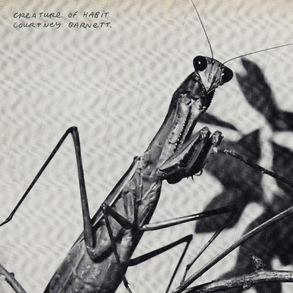 Creature Of Habit (Indie Exclusive Caramel Vinyl) [Vinyl]