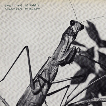 Creature Of Habit (Indie Exclusive Caramel Vinyl) [Vinyl]