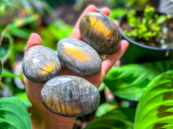 SUNSET Labradorite Palm Stone, Orange Labradorite, Yellow Labradorite, Pink Labradorite (ONLINE ORDER ONLY)