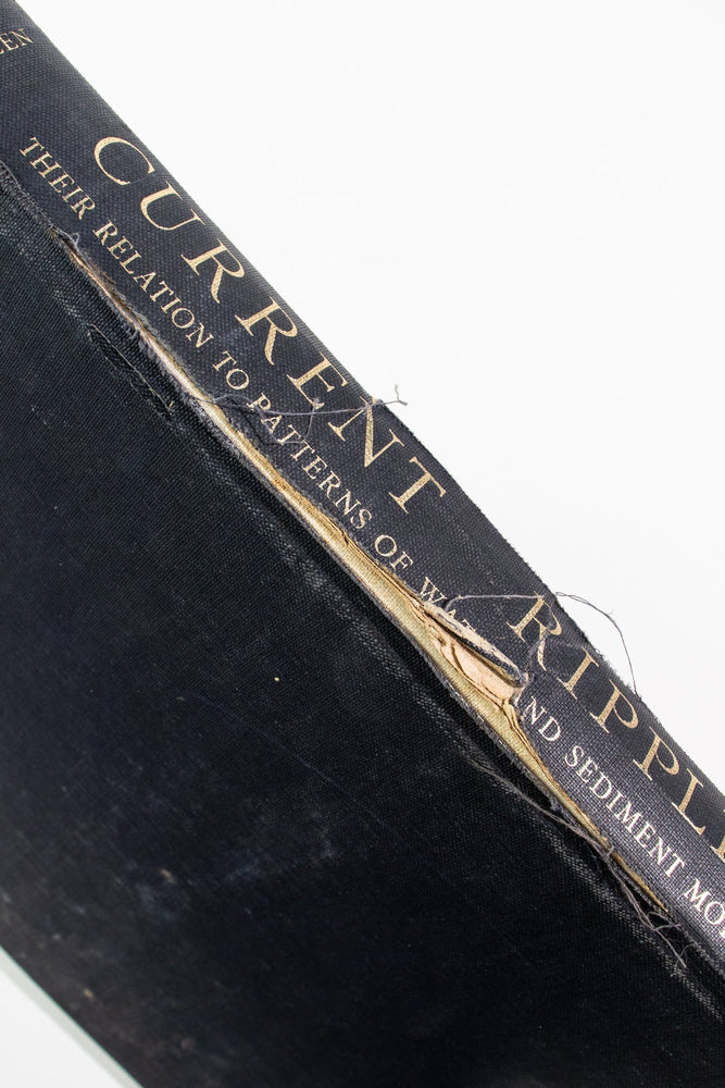 Current Ripples: Their Relation to Patterns of Water and Sediment Motion (ONLINE ORDER ONLY)