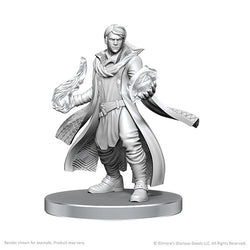 Critical Role Miniatures: Beauregard Lionett & Caleb Widogast - Wave 26 (ONLINE ORDER ONLY)