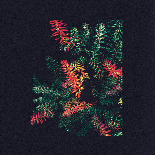 DARK SKY - Othona [CD] (ONLINE ORDER ONLY)