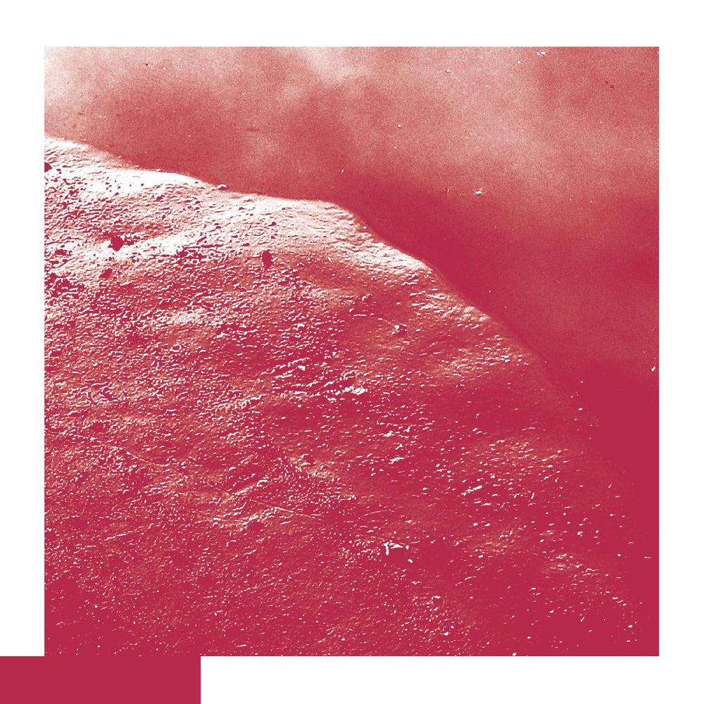 David Allred - The Cell [CD] (ONLINE ORDER ONLY)