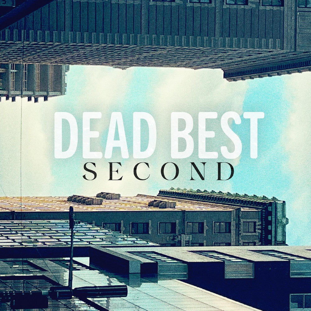 Second [Vinyl]