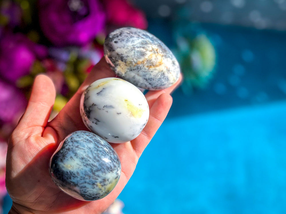 Dendritic Agate Palmstones (ONLINE ORDER ONLY)