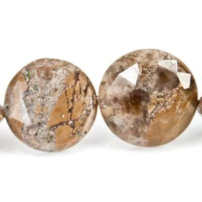 Desert Cliff Jasper Beads Straight Drilled Faceted Coins (ONLINE ORDER ONLY)