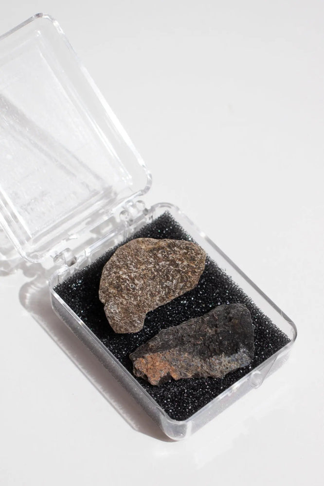 Dinosaur Bone Fossil Fragments (Online Order Only)