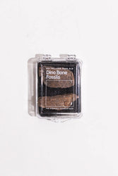 Dinosaur Bone Fossil Fragments (Online Order Only)