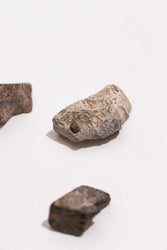 Dinosaur Bone Fossil Fragments (Online Order Only)
