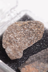 Dinosaur Bone Fossil Fragments (Online Order Only)