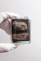 Dinosaur Bone Fossil Fragments (Online Order Only)
