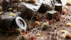 Gamers Grass | Laser Plants | Red Aloe (ONLINE ORDER ONLY)