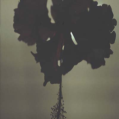 DK7 - Disarmed [Vinyl] (ONLINE ORDER ONLY)