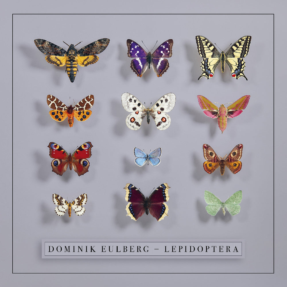 Lepidoptera [CD] (ONLINE ORDER ONLY)