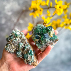 Druzy Dreams Pocket Fluorite Clusters (Color Change) Diana Maria Mine, Fluorescent Fluorite (ONLINE ORDER ONLY)