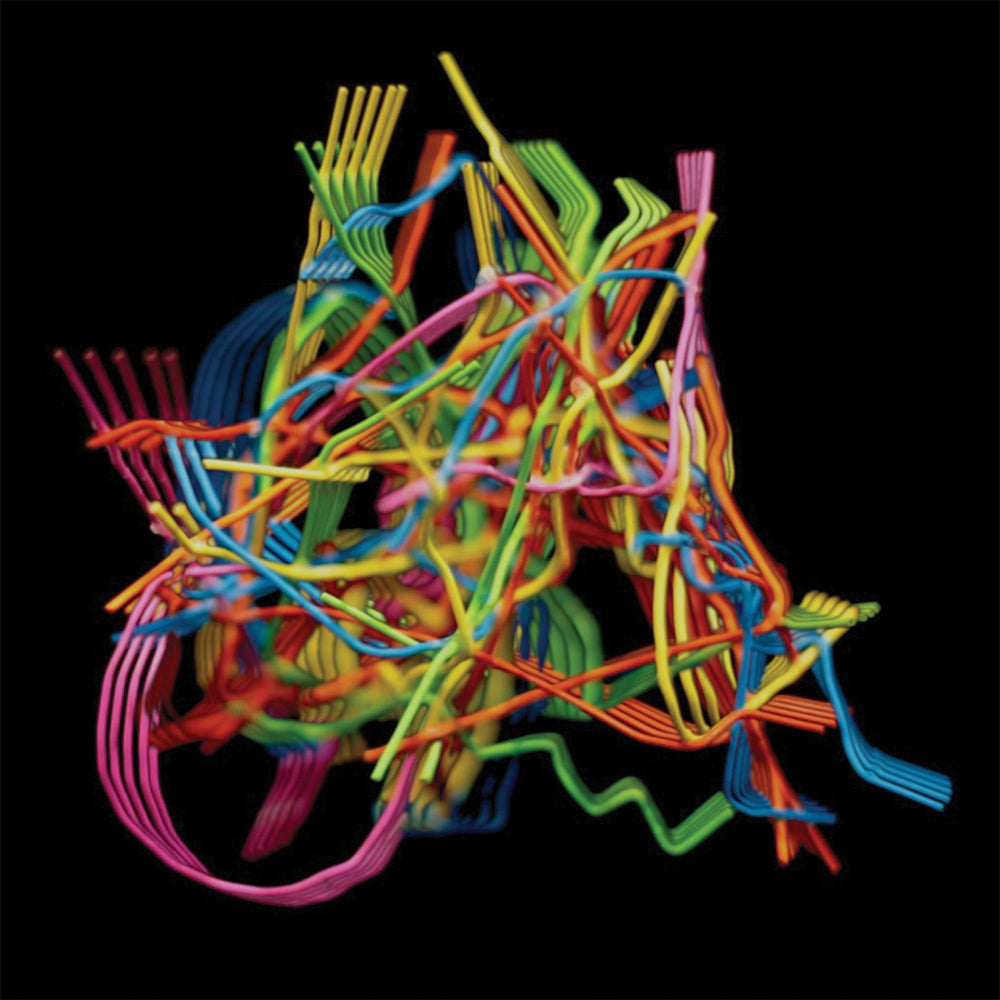 Perpetual Morphosis [CD]